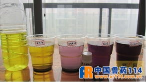 烈酒甜味背后 如何科學(xué)判斷脫霉劑處理霉菌毒素的能力？