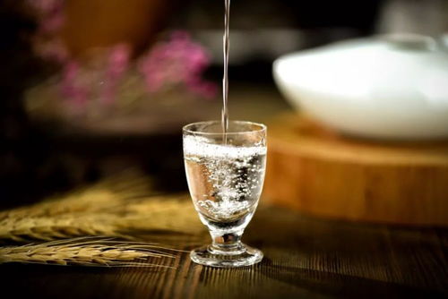 醉酒的六重境界 從微醺到致命，你了解多少？