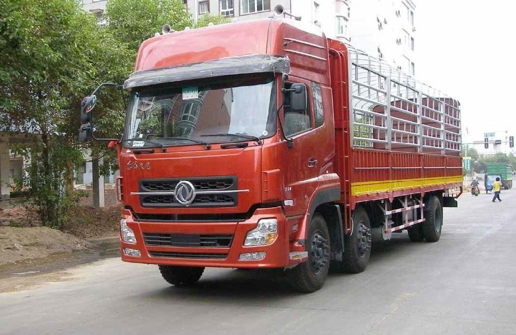 提供服務(wù)墊江普通貨運(yùn)