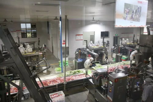 復工復產(chǎn) 赤水開 竹 馬力做 竹 文章