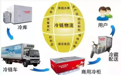 冷鏈物流 突破瓶頸、抓住機遇，推動普通貨運轉型升級